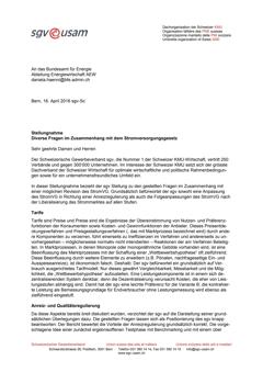  Stellungnahme Diverse Fragen im Zusammenhang mit dem Stromversorgungsgesetz