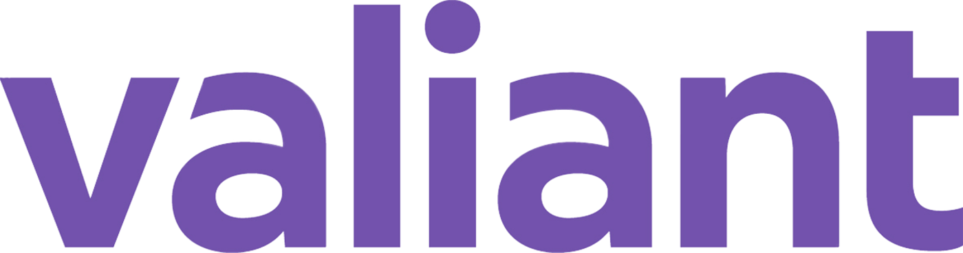 20231130 Logo Valiant Transp W1200px